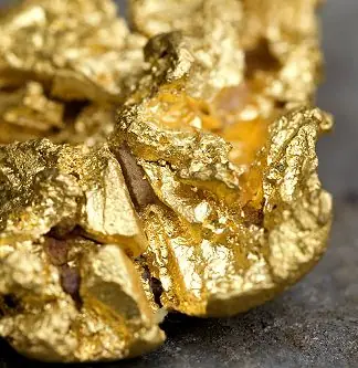 Pepitas de ouro bruto